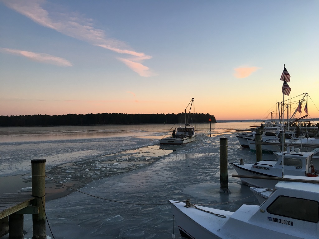 Oyster Boat clearing a channel through the Harbor at Neavitt MD-KT.jpg